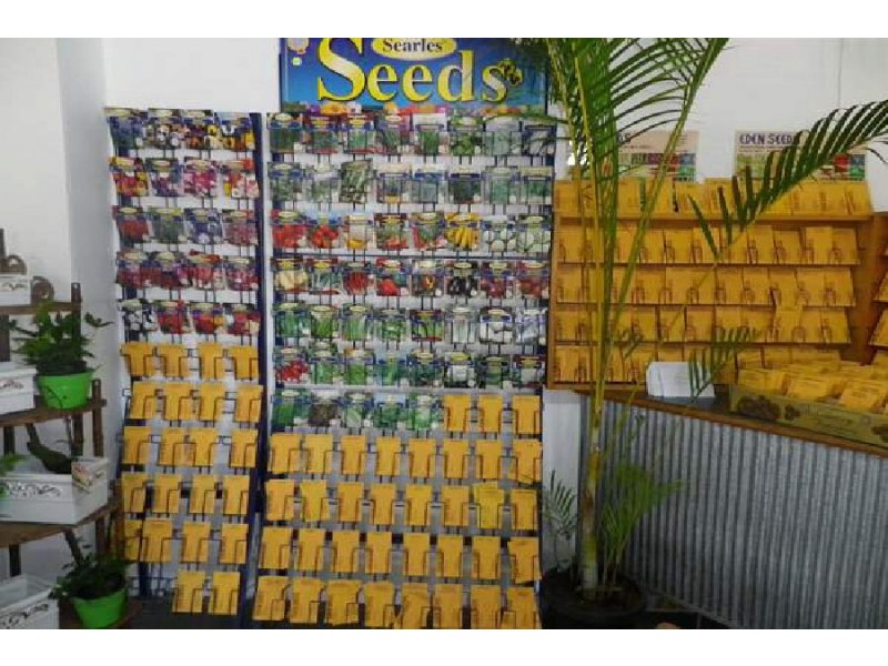 50 Townsville Road, Ingham QLD 4850