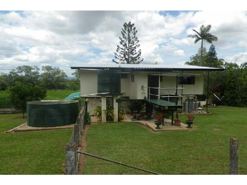 1620 Hawkins Creek Road, Hawkins Creek QLD 4850