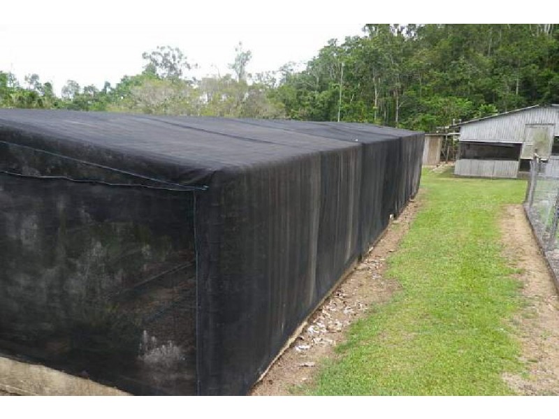 1620 Hawkins Creek Road, Hawkins Creek QLD 4850