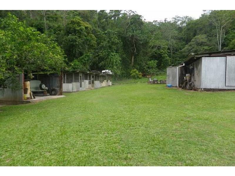 1620 Hawkins Creek Road, Hawkins Creek QLD 4850