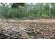 46 Five Mile Creek Road via, Cardwell QLD 4849