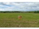 8 Hinchinbrook Court, Halifax QLD 4850