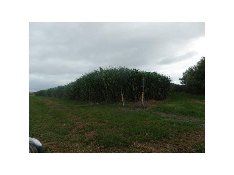 Lots 62 & 516 Taylors Beach Road, Halifax QLD 4850