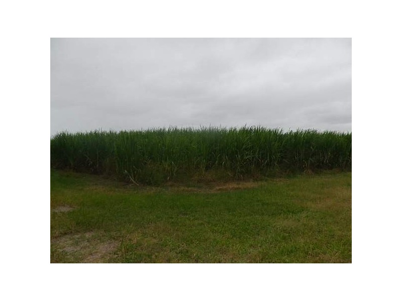Lots 62 & 516 Taylors Beach Road, Halifax QLD 4850