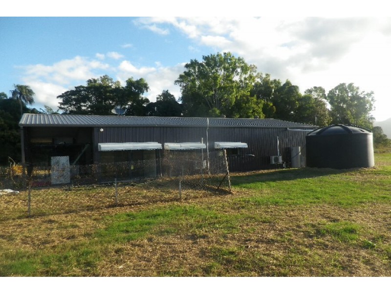 46999 Bruce Highway, Bambaroo QLD 4850