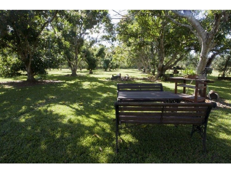 50 Five Mile Creek Road, Cardwell QLD 4849