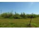 Upper Stone QLD 4850