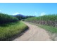 Abergowrie QLD 4850