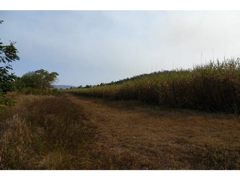 Lannercost QLD 4850