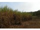 Lannercost QLD 4850