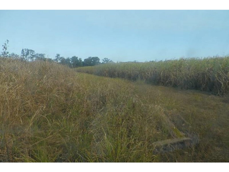 Lannercost QLD 4850