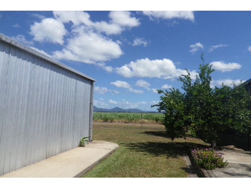 59 Victoria Mill Road, Ingham QLD 4850