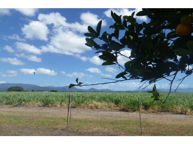 59 Victoria Mill Road, Ingham QLD 4850