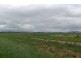 Halifax QLD 4850
