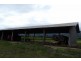 47219 Bruce Highway, Bambaroo QLD 4850