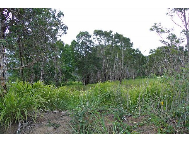 47219 Bruce Highway, Bambaroo QLD 4850
