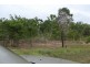 47219 Bruce Highway, Bambaroo QLD 4850
