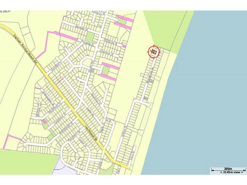 37 Allamanda Avenue, Forrest Beach QLD 4850