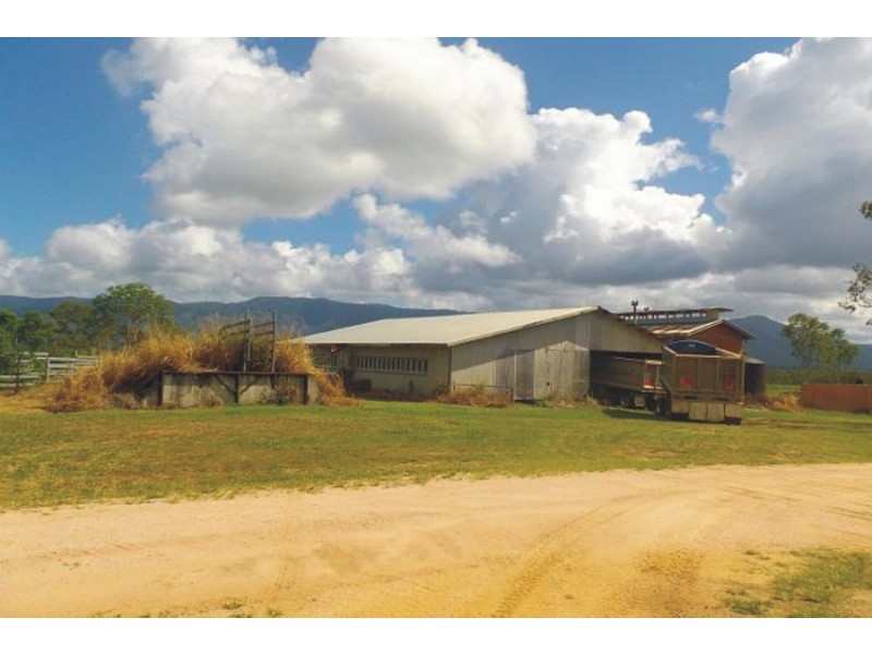 218 Stoneleigh Road, Upper Stone QLD 4850