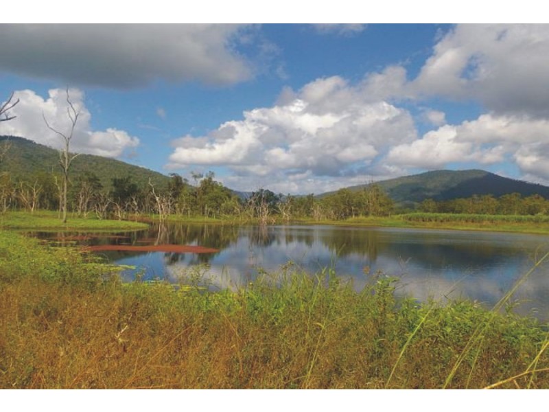 218 Stoneleigh Road, Upper Stone QLD 4850