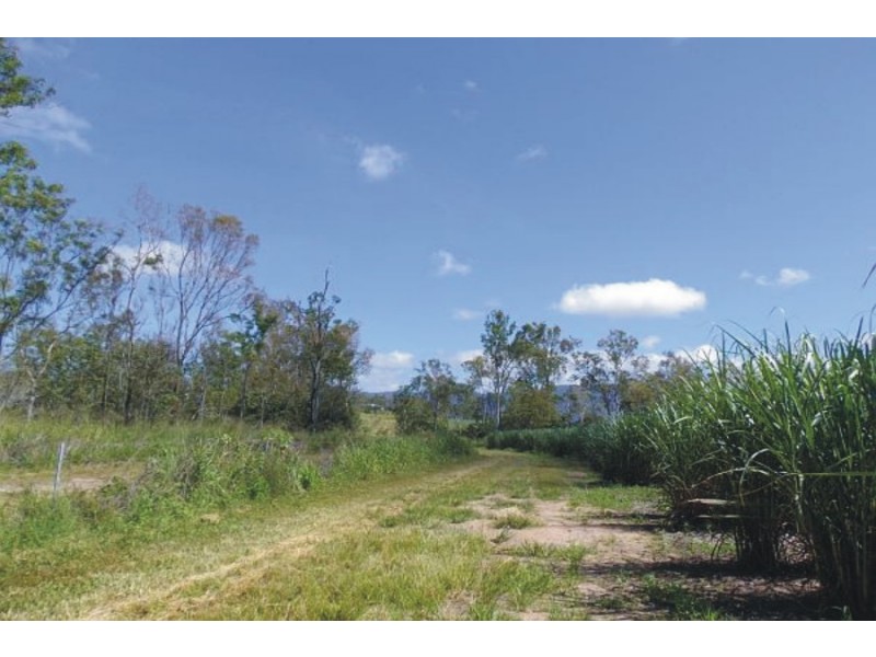 218 Stoneleigh Road, Upper Stone QLD 4850