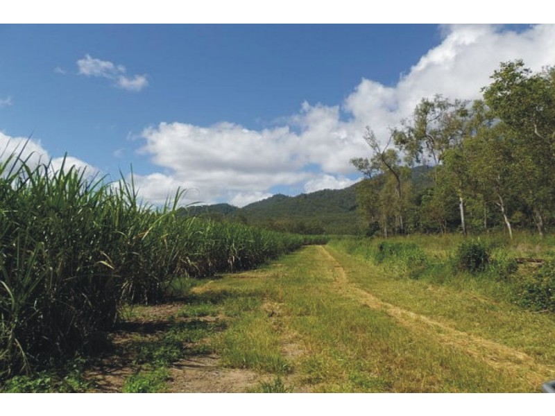 218 Stoneleigh Road, Upper Stone QLD 4850