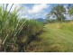 Upper Stone QLD 4850