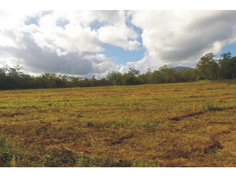 Upper Stone QLD 4850