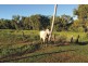 26 Poppi’s Road, Forrest Beach QLD 4850