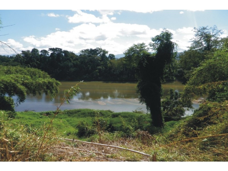 20 Old Bridge Road, Long Pocket QLD 4850