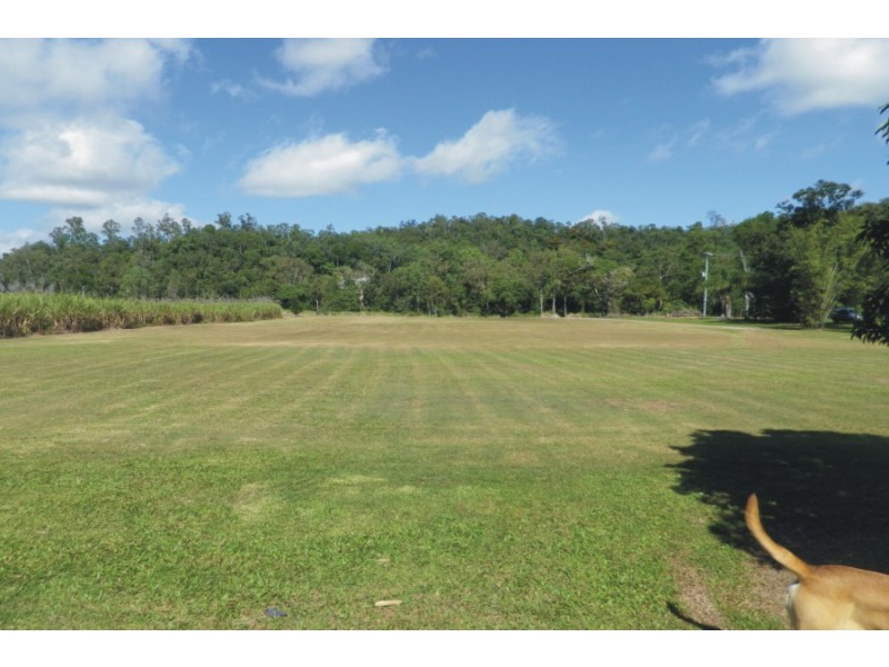 20 Old Bridge Road, Long Pocket QLD 4850