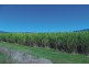 Upper Stone QLD 4850