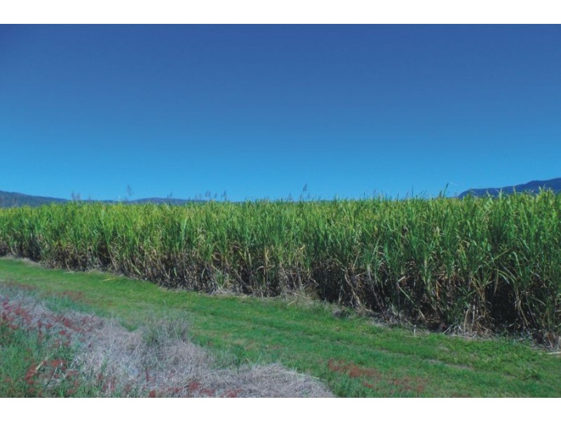 Upper Stone QLD 4850