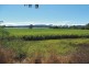 Upper Stone QLD 4850