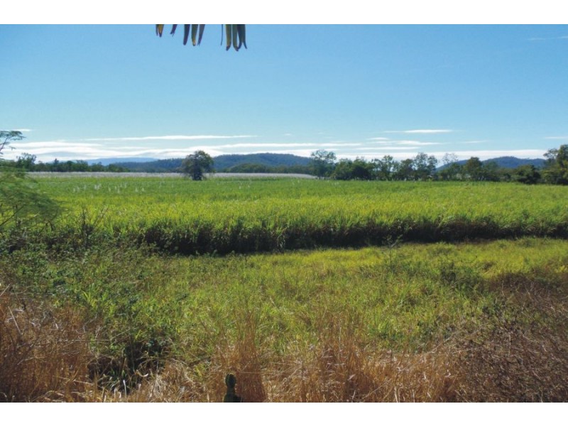 Upper Stone QLD 4850