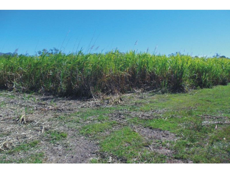 Upper Stone QLD 4850