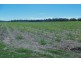 Upper Stone QLD 4850