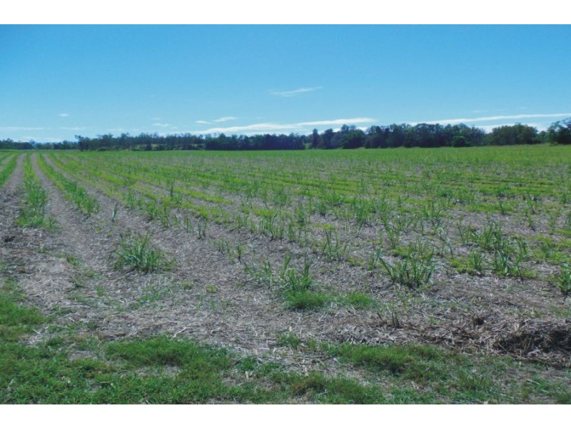 Upper Stone QLD 4850