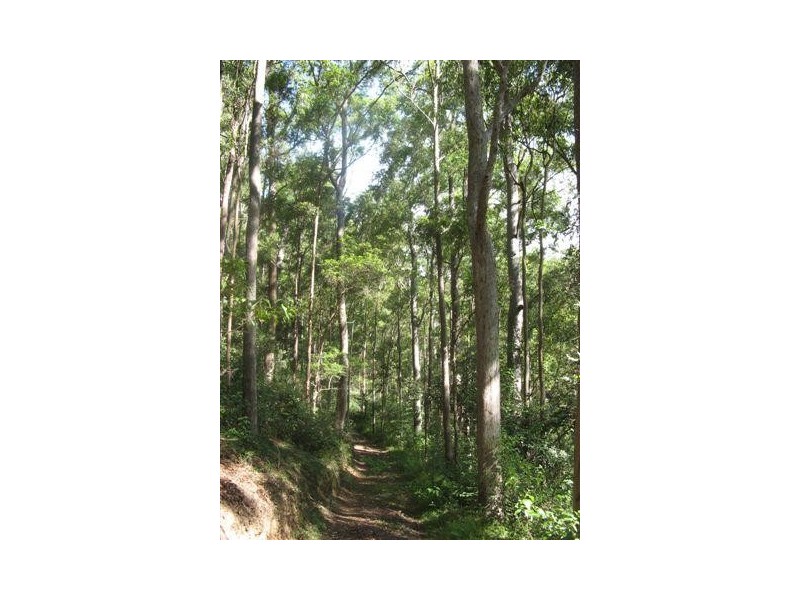 1380 Tin Can Bay Road, Ross Creek QLD 4570