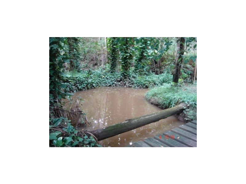 21 Bell Road, Glass House Mountains QLD 4518