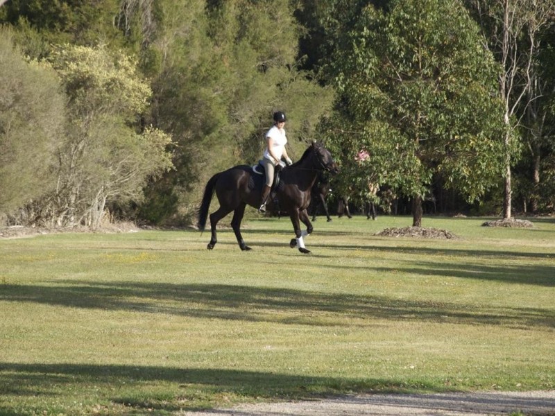 16 Warwick Lane, Samford QLD 4520