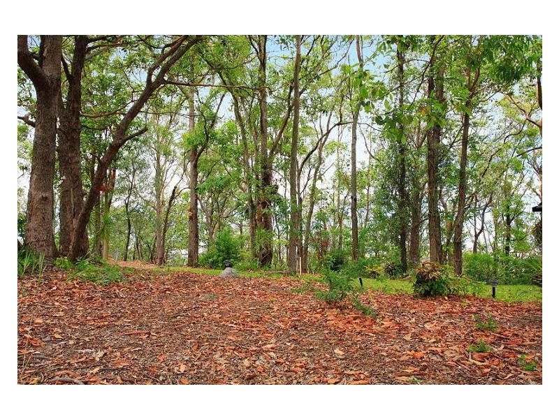 39 Timothy Street, Moorooka QLD 4105