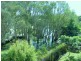 4 Truscot Place, Thornlands QLD 4164