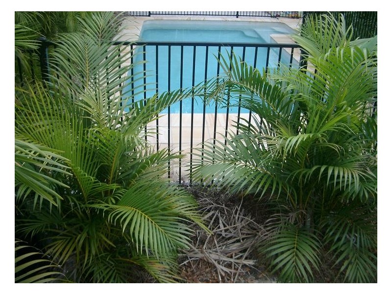 9 Cania Crescent, Petrie QLD 4502