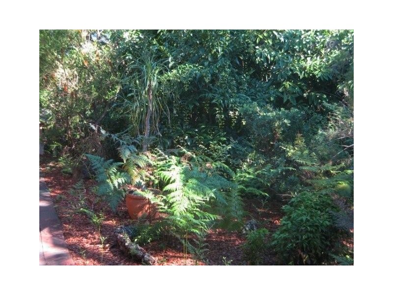 8 Commodore Street, Sunnybank Hills QLD 4109