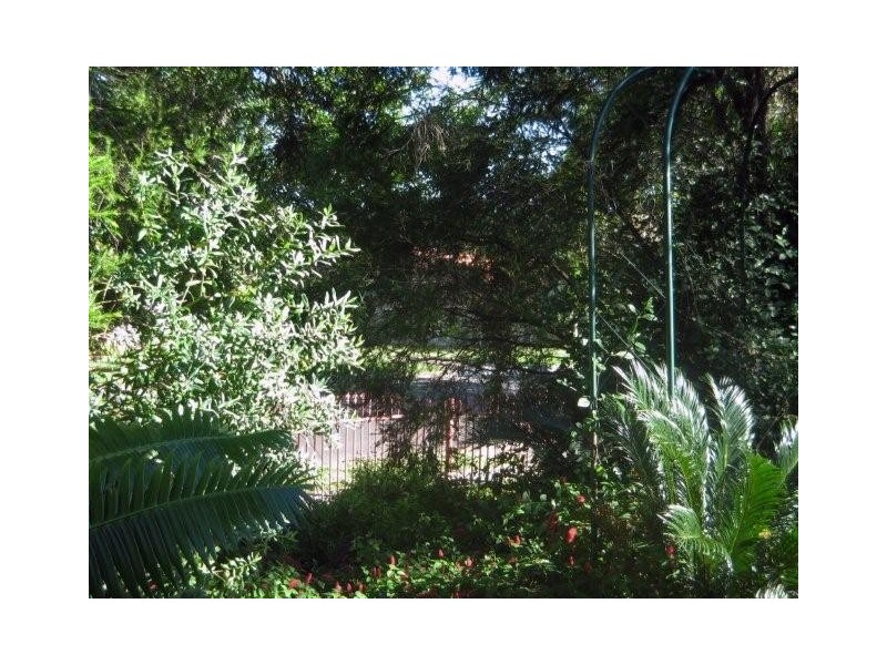 8 Commodore Street, Sunnybank Hills QLD 4109