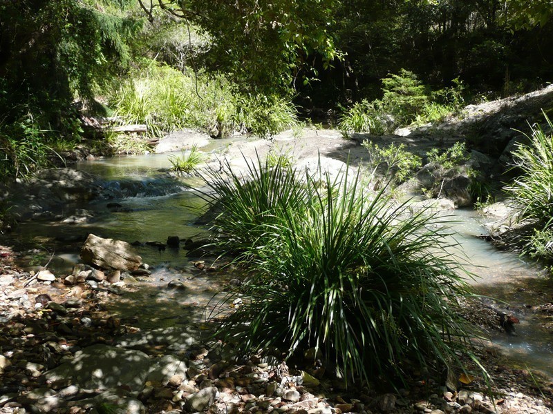 165 Smith Road, Bonogin QLD 4213