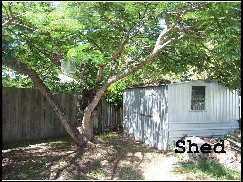 87 Parliament Street, Bethania QLD 4205