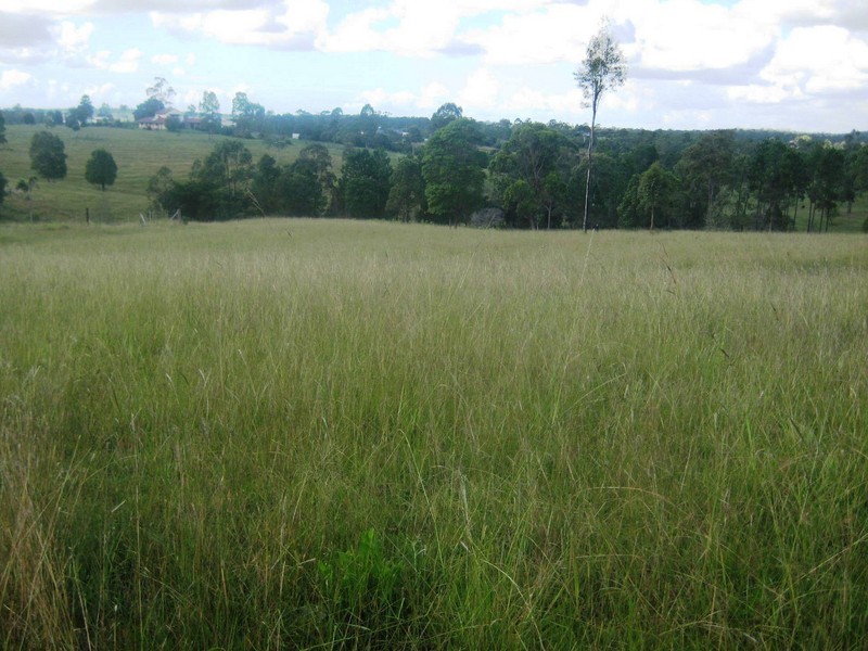 151 Eric McSweeney Court, Kurwongbah QLD 4503