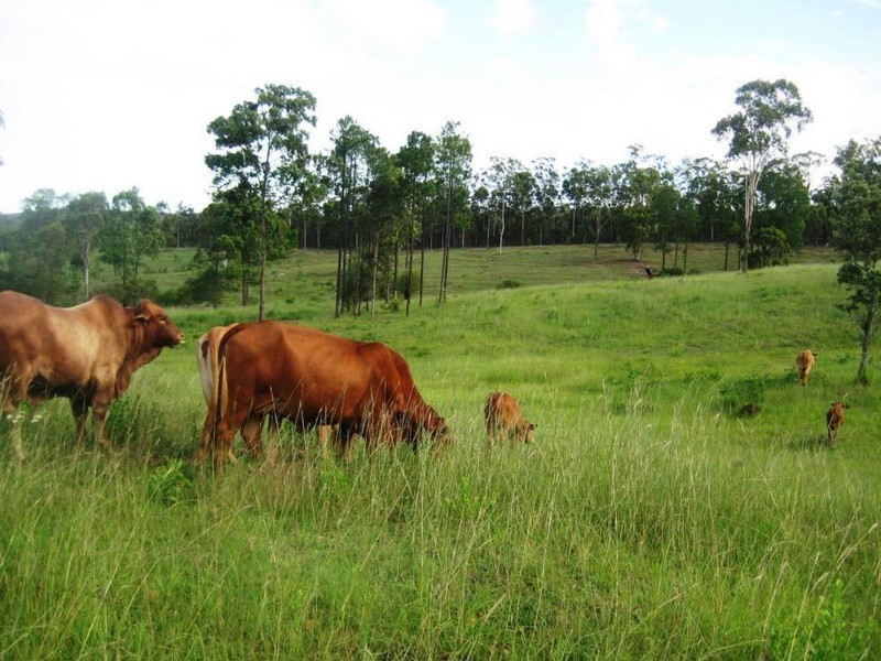 151 Eric McSweeney Court, Kurwongbah QLD 4503